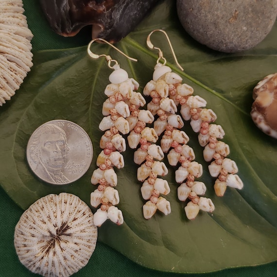 Shell Earrings Kauai Shell Earrings Hawaiian Shell Earring Traditional Weave Momi Shells Kahelelani Shells Kauai Ni'ihau Shell Hawaii Shells