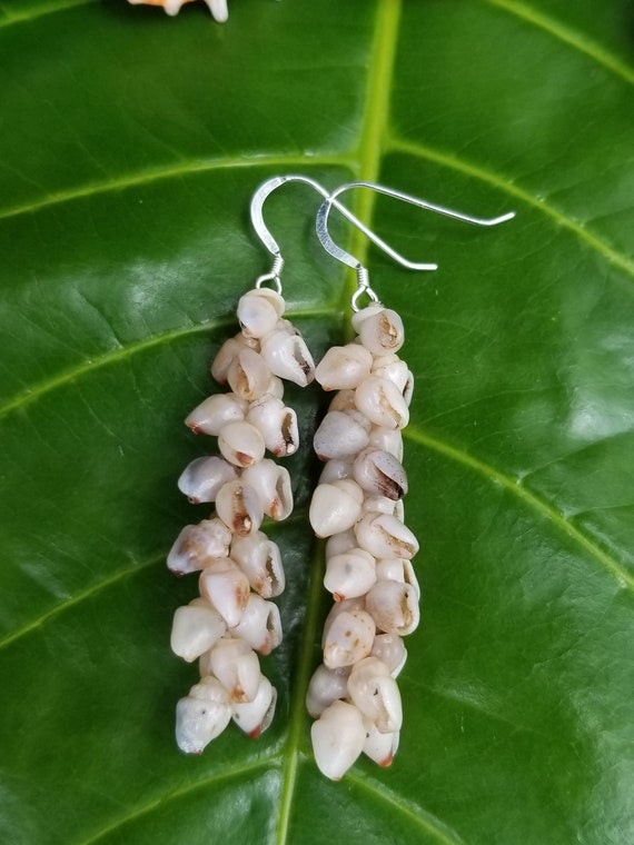 Shell Earrings Kauai Shell Earrings Hawaiian Shell Earring Momi Shells Kahelelani Shells Kauai Beach Shell Hawaii Shell Kauai Ni'ihau Shell