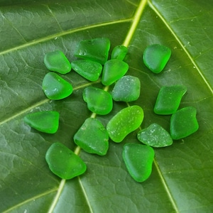 May include: A collection of green sea glass pieces, scattered on a green leaf. The sea glass is smooth and polished, with a variety of shapes and sizes.