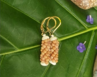 Kahelelani Shell Earrings: Kauai Kahelelani Shells, Puka Shells, Gold Filled Leverbacks, 50lb Nylon String, Authentic Kauai Niihau Shell