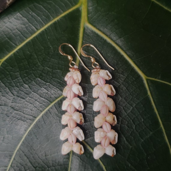 Shell Earrings Kauai Shell Earrings Hawaiian Shell Earring Hawaiian Float Cowrie Shells Momi Shells Kahelelani Shells Kauai Trivia Shells