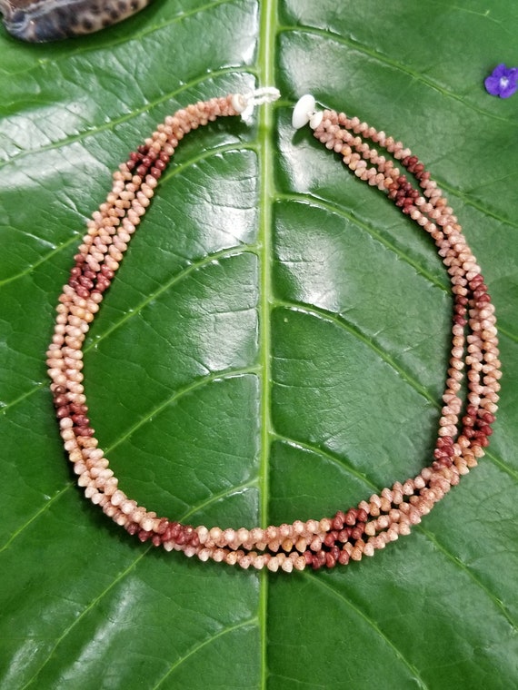 Shell Jewelry Shell Necklace Shell Lei Rare Shells Puka Shell Jewelry Shells Kauai Shell Necklace Hawaii Shell Jewelry Kahelelani Shell Lei
