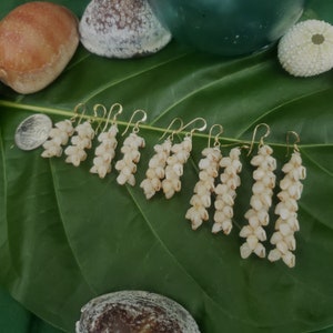 Shell Earrings Kauai Shell Earrings Hawaii Shell Earring Momi Shell Kahelelani Shell Kauai Shell Hawaiian Shell Niihau Earrings Niihau Shell image 6