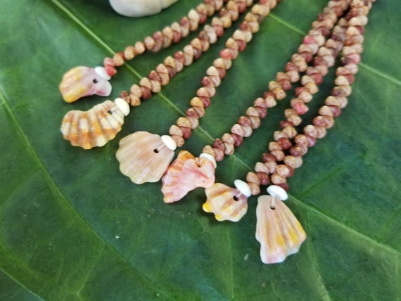 Sunrise Shell Chip Earrings Kahelelani Shell Earrings Hawaiian Shell Jewelry Kauai Eco Friendly Collected Kauai Shells Beach Earrings