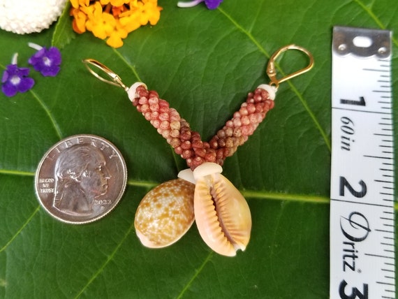 Hawaiian Honey Cowrie Shell Earrings Kauai Kahelelani Shell Earrings Eco Friendly Island Earrings Authentic Kauai Kahelelani Shells Rare