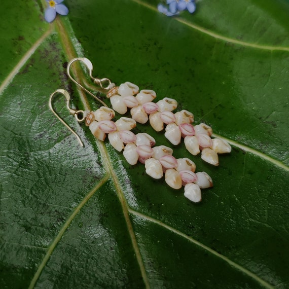 Shell Earrings Kauai Shell Earrings Hawaiian Shell Earring Hawaiian Float Cowrie Shells Momi Shells Kahelelani Shells Kauai Trivia Shells