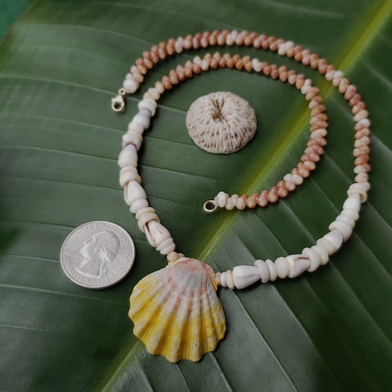 Sunrise Shell Lei Kauai Kahelelani Shell Lei Hawaii Shells Beach Jewelry Eco-Friendly Collected Rare Shells Island Mermaid Sunrise Shell