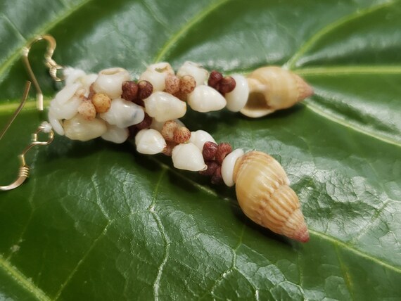 Shell Earrings Kauai Kahelelani Shell Earrings Hawaiian Momi Shell Earrings Momi Shells Kahelelani Shells Kauai Momi Ni'ihau Shell Jewelry
