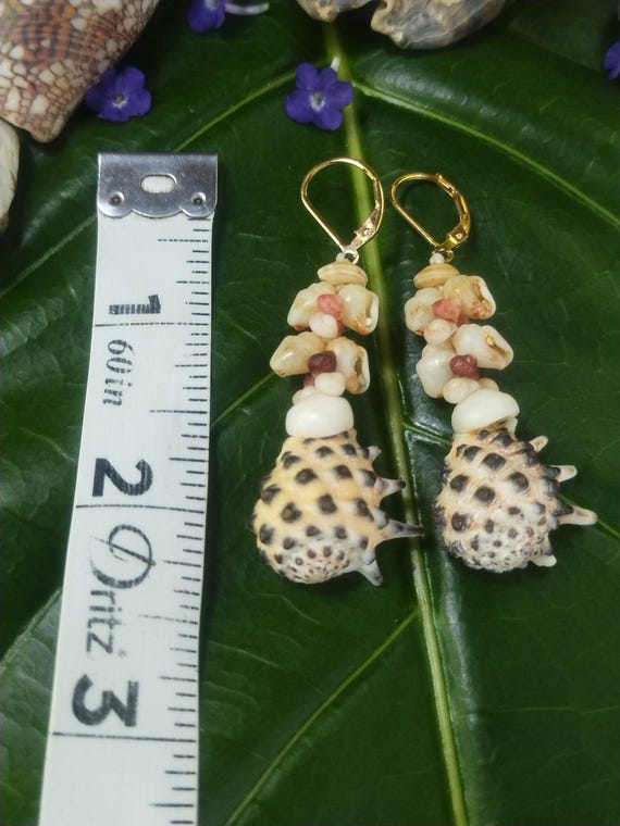 Momi Shell Earrings Kauai Murex Shell Earrings Hawaiian Drupe Shell Kahelelani Earrings Momi Shells Kahelelani Shells Kauai Momi Shells