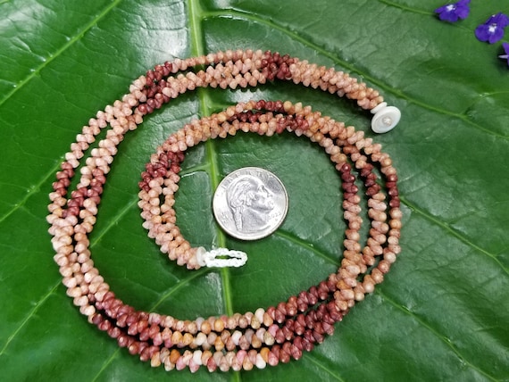 Shell Jewelry Shell Necklace Shell Lei Rare Shells Puka Shell Jewelry Shells Kauai Shell Necklace Hawaii Shell Jewelry Kahelelani Shell Lei