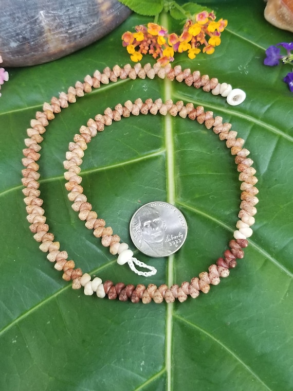 Shell Jewelry Shell Necklace Shell Lei Rare Shells Puka Shell Jewelry Shells Kauai Shell Necklace Hawaii Shell Jewelry Kahelelani Shell Lei