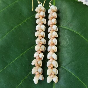 Shell Earrings Kauai Kahelelani Shell Earrings Hawaiian Momi Shell Earrings Momi Shells Kahelelani Shells Kauai Momi Beach Shells Rare Shell image 7