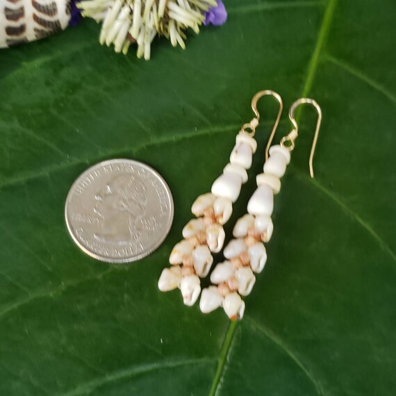 Shell Earrings Kauai Shell Earrings Hawaiian Shell Earring Traditional Weave Momi Shells Kahelelani Shells Kauai Beach Shell Hawaiian Shells