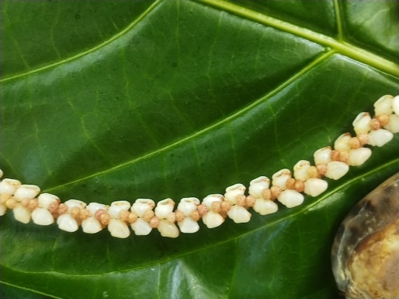 Kahelelani Shell Necklace Kahelelani Shell Jewelry Shell Necklace Kauai Shells Hawaii Jewelry Mermaids Jewelry Kauai Ni'ihau Shells Lei