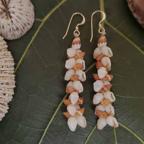 Shell Earrings Kauai Momi Shell Earrings Hawaii Shell Earring Momi Kahelelani Shells Kauai Ni'ihau Shells Beach Shell Hawaiian Shells