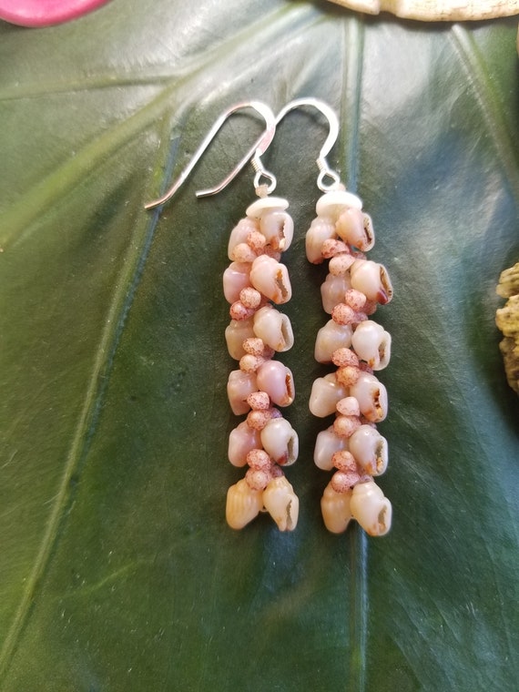 Shell Earrings Kauai Shell Earrings Hawaiian Shell Earrings Rare Momi Kahelelani Shells Kauai Kahelelani Shell Jewelry Momi Shell Jewelry