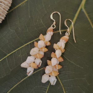 Shell Earrings Kauai Shell Earrings Hawaiian Shell Earrings Momi Shells Kahelelani Shells Kauai Beach Shell Hawaiian Momi Shells Momi Shell
