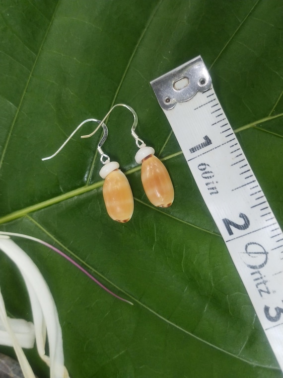 Shell Earrings Cowrie Shell Earrings Puka Shell Earrings Shells Authentic Kauai Shell Jewelry Hawaiian Seashell Earrings Checkered Cowrie