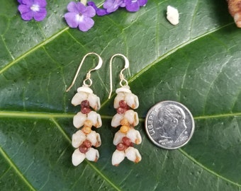 Shell Earrings Kauai Kahelelani Shell Earrings Hawaiian Momi Shell Earrings Momi Shells Kahelelani Shells Kauai Momi Beach Shells Rare Shell