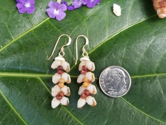 Shell Earrings Kauai Kahelelani Shell Earrings Hawaiian Momi Shell Earrings Momi Shells Kahelelani Shells Kauai Momi Beach Shells Rare Shell