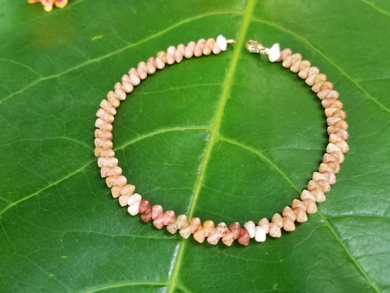 Kahelelani shell Bracelet Sea Shell Bracelet Kauai Shell Jewelry Eco Friendly Natural Shell Bracelet Kauai Kahelelani Shells Hawaiian Shells