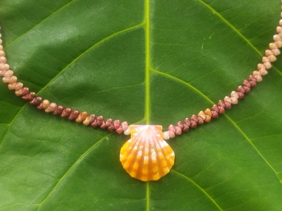 Sunrise Shell Lei: Kauai Kahelelani Shells, Sunrise Shell, Puka Shells, Hawaii Shells Beach Jewelry, Eco-Friendly Collected Rare Shells