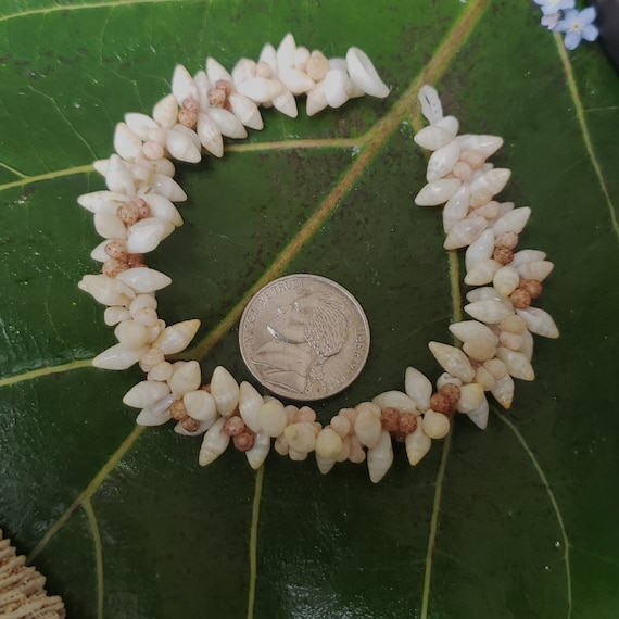 Kahelelani Shell Bracelet Laike Shell Bracelet Kauai Art Shell Jewelry Natural Eco Friendly Hand Picked Shells Niihau Shells Collected Kauai