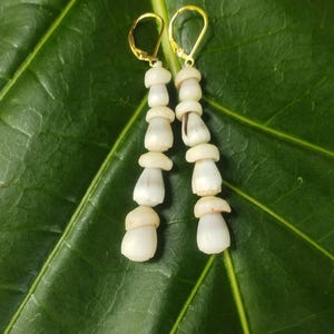 Kauai Puka Shell Earrings: Dwarf Cone Shells, Puka Shells, 14kt Gold Filled Leverbacks, Hawaiian Beach Earrings, Beach Shell Earrings