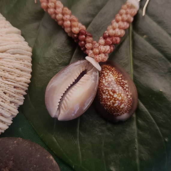 Hawaiian Cowrie Shell Earrings Kauai Kahelelani Shell Earrings Eco Friendly Island Earrings Authentic Kauai Kahelelani Shells Rare Shells