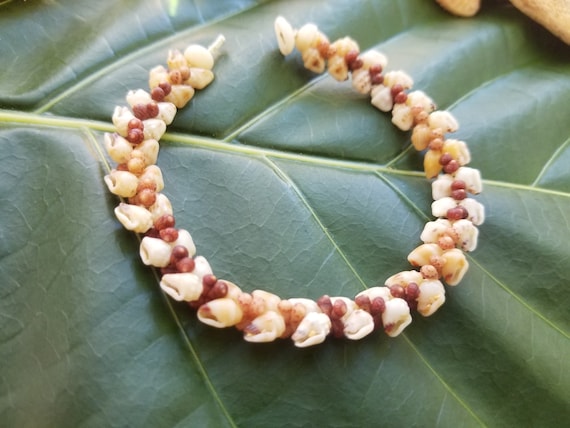 Momi Shell Bracelet Kahelelani Shell Bracelet Traditional Hawaiian Shell Jewelry Eco-Friendly Collected Kauai Kahelelani Shells Aloha Shells