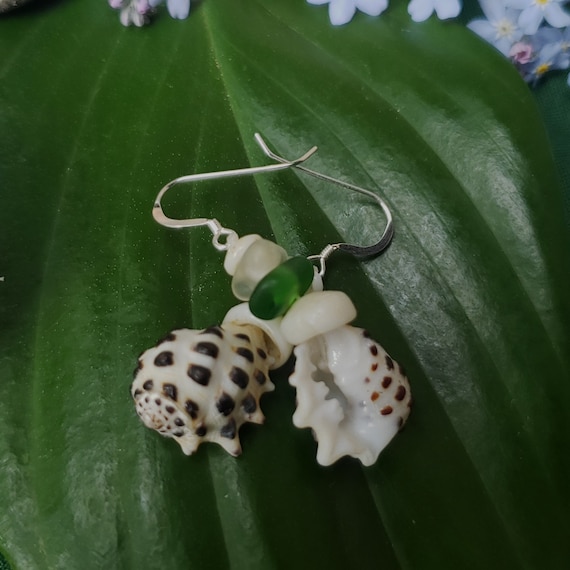 Shell Earrings Puka Shell Earrings Hawaiian Shell Jewelry Kauai Shells Eco Friendly Collected Shells Kauai Shells Seaglass Earrings Seaglass
