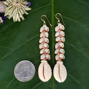 Shell Earrings Kauai Shell Earrings Hawaiian Shell Earring Traditional Weave Momi Shells Kahelelani Shells Kauai Beach Shell Hawaiian Shells