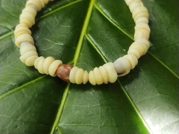 Puka Shell Bracelet Hawaiian Puka Shell Jewelry Puka Shells Beach Bracelet Kauai Puka Shell Bracelet Island Seashell Jewelry Eco Friendly
