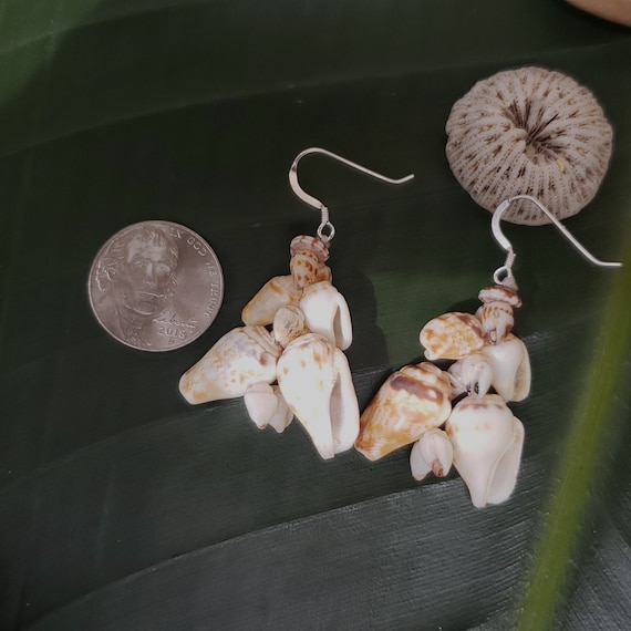 Momi Shell Earrings Alilea Shell Earrings Hawaii Shell Earring Momi Shells Kahelelani Shells Kauai Beach Shell Hawaii Shell Niihau Shell