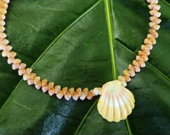 Sunrise Shell: 9' inch, Kahelelani Shell Anklet, 14kt Gold Filled Clasp, Mermaids Anklet, Beach Anklet, Natural Shell Jewelry
