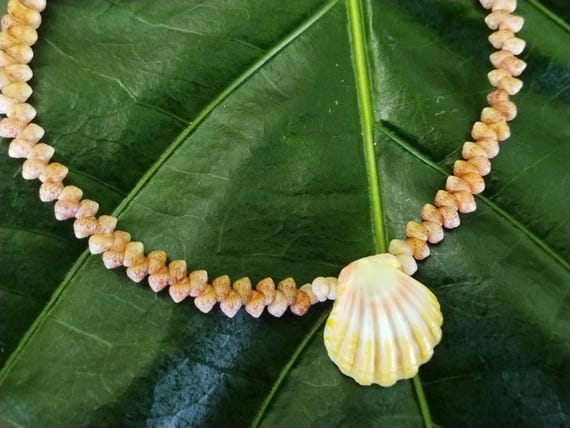 Sunrise Shell: 9' inch, Kahelelani Shell Anklet, 14kt Gold Filled Clasp, Mermaids Anklet, Beach Anklet, Natural Shell Jewelry