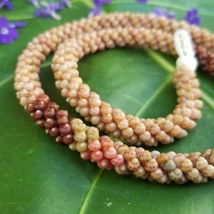 Kahelelani Shell Lei: Kauai Heirloom Necklace, Puka Clasp