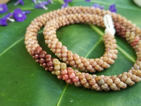 Shell Necklace Rare Shells Shell Lei Kauai Shells Hawaiian Shell Lei Heirloom Kauai Kahelelani Lei Puka Shell Clasp Hawaiian Jewelry Niihau