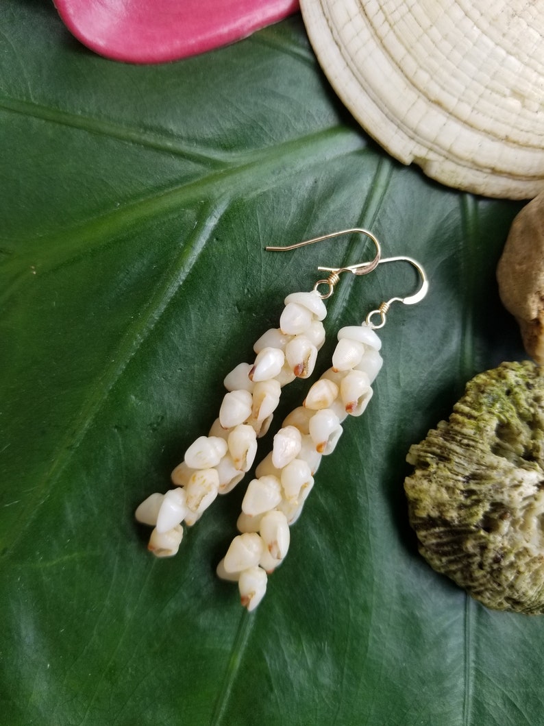 Shell Earrings Kauai Shell Earrings Hawaii Shell Earring Momi Shell Kahelelani Shell Kauai Shell Hawaiian Shell Niihau Earrings Niihau Shell image 4