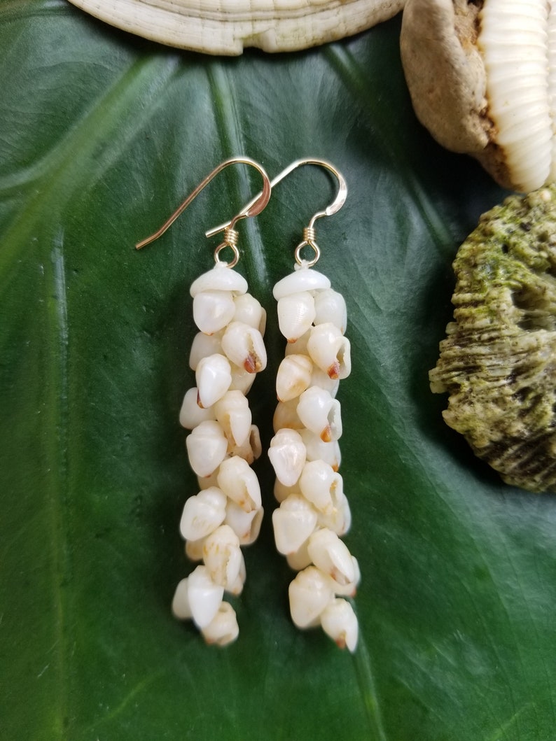 Shell Earrings Kauai Shell Earrings Hawaii Shell Earring Momi Shell Kahelelani Shell Kauai Shell Hawaiian Shell Niihau Earrings Niihau Shell 2 Inches