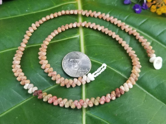 Shell Jewelry Shell Necklace Shell Lei Rare Shells Puka Shell Jewelry Shells Kauai Shell Necklace Hawaii Shell Jewelry Kahelelani Shell Lei