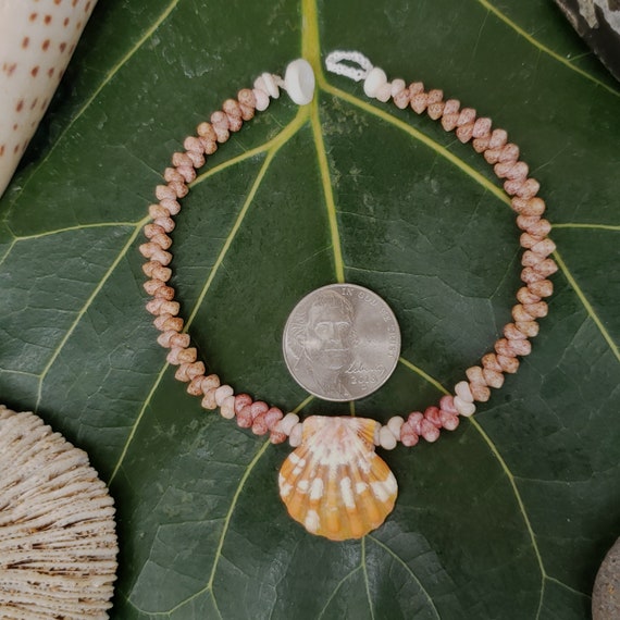 Sunrise Shell Bracelet Shell Bracelet Puka Shell Jewelry Natural Shell Bracelet Kahelelani Shell Jewelry Kauai Sunrise Shells Sunrise Shell