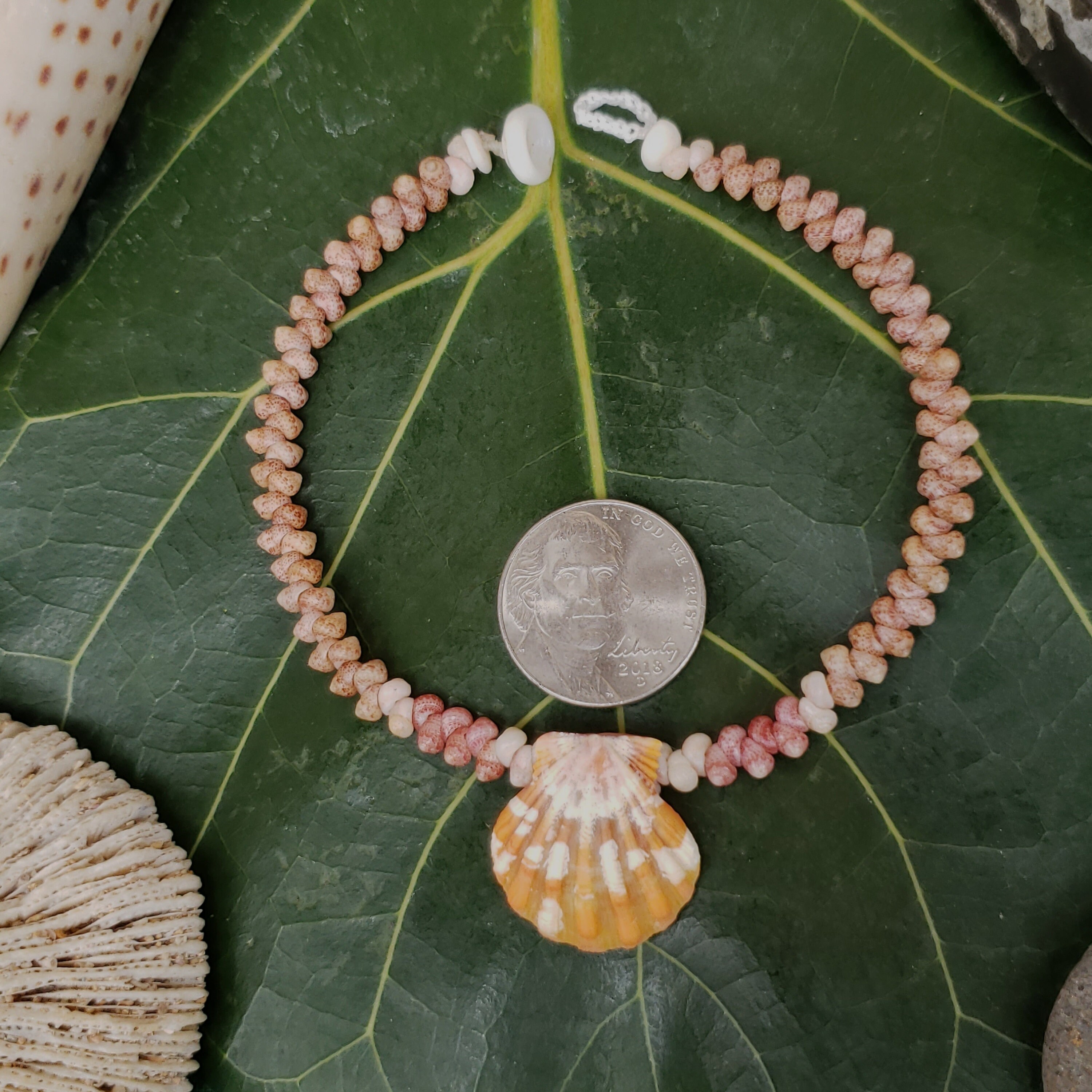 Sunrise Shell Bracelet Shell Bracelet Puka Shell Jewelry Natural Shell Bracelet Kahelelani Shell Jewelry Kauai Sunrise Shells Sunrise Shell