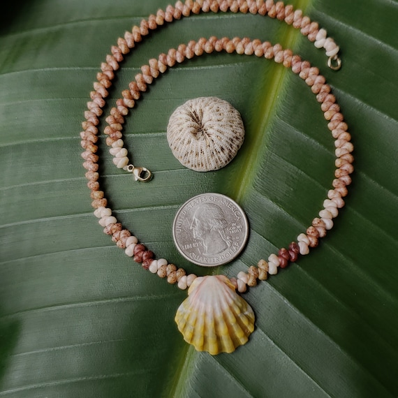 Sunrise Shell Lei Kauai Kahelelani Shell Lei Hawaii Shells Beach Jewelry Eco-Friendly Collected Rare Shells Island Mermaid Sunrise Shell