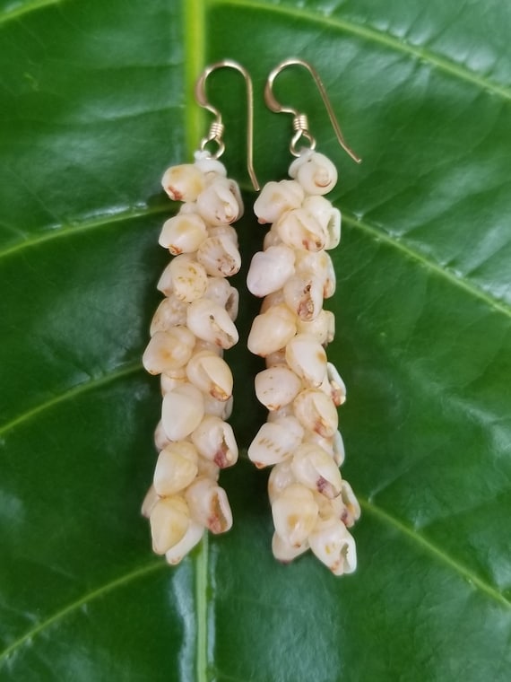 Kauai Momi Earrings: 14kt Gold Filled, Hawaiian Jewelry, Rare Shells, Niihau Shell Jewelry