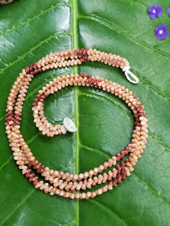 Shell Jewelry Shell Necklace Shell Lei Rare Shells Puka Shell Jewelry Shells Kauai Shell Necklace Hawaii Shell Jewelry Kahelelani Shell Lei
