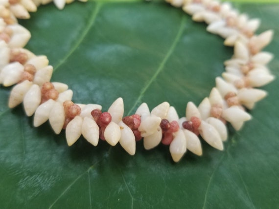 Kahelelani Shell Bracelet Laike Shell Bracelet Kauai Art Shell Jewelry Natural Eco Friendly Hand Picked Shells Niihau Shells Collected Kauai