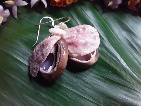 Puka Shell Earrings Cowrie Shell Earrings Hawaiian Style Kauai Mermaids Tears Surfer Girl Gift Aloha Kauai Beach Earrings Puka Shell Earring