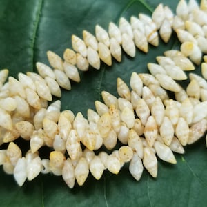 Rare Laiki Shell Lei: Kauai Laiki Shells, Granulate Cowrie Shell, Traditional Hawaiian Kahelelani Necklace, Rare Hawaiian Shell Necklace