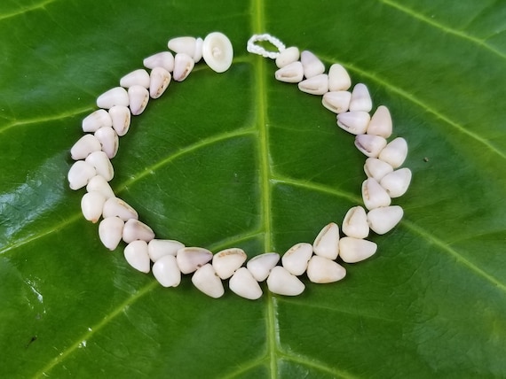 Cone Shell Bracelet Hawaiian Puka Shell Jewelry Puka Shells Beach Bracelet Kauai Dwarf Cone Shell Bracelet Island Seashell Jewelry